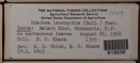 Image Associated With the Occurrence